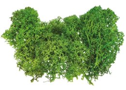 Mech sztuczny jasnozielony 10g