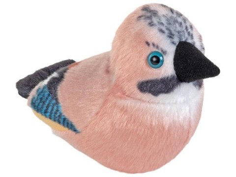 Maskotka Sójka euroazjatycka z dzwiękiem