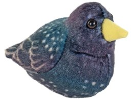 Maskotka Szpak z dzwiękiem