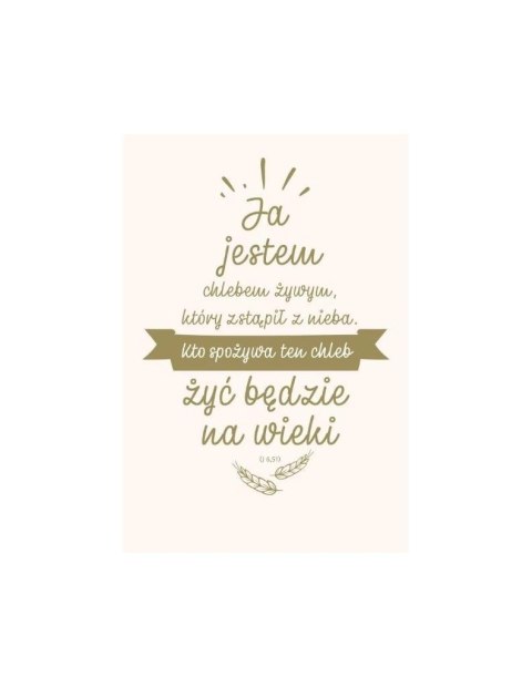 NT z infografikami B5 złote tł. Ja jestem chlebem