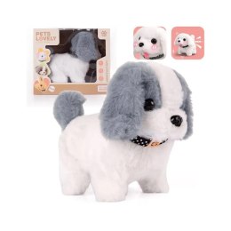 Pluszowy interaktywny Piesek z dźwiękiem