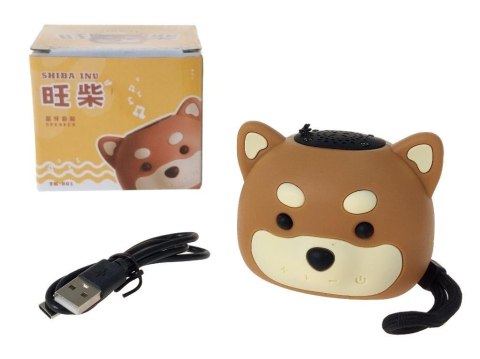 Głośnik Bluetooth kabel USB