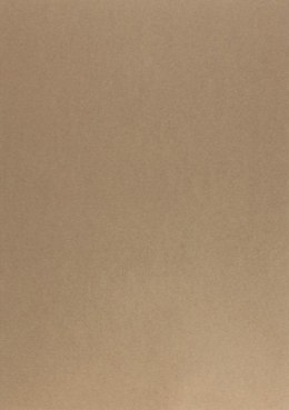 Karton kolorowy 170g A4 (25szt) brązowy
