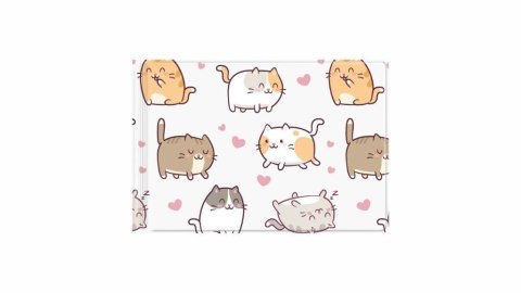 Okładka na dokumenty ucznia małe kittens