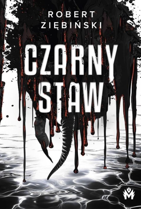 Czarny Staw