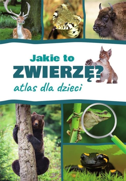 Atlas dla dzieci. Jakie to zwierzę?