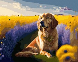 Malowanie po numerach + złota farba - Złoty pies..