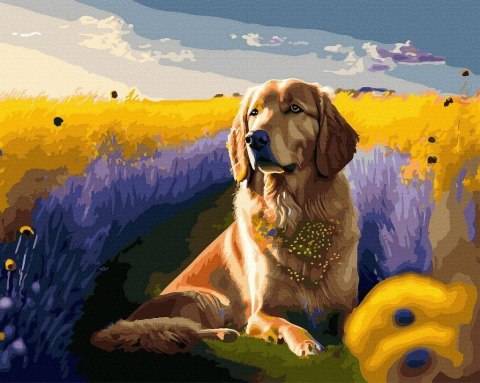 Malowanie po numerach + złota farba - Złoty pies..