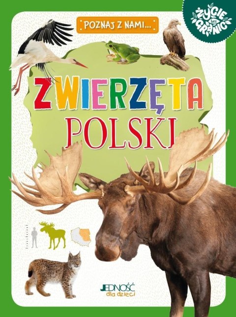 Poznaj z nami... Zwierzęta Polski