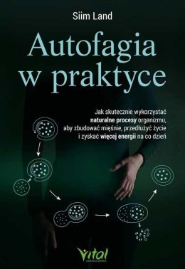 Autofagia w praktyce. Jak skutecznie wykorzystać..