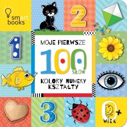 Moje pierwsze 100 SŁÓW. Kolory, numery, kształty