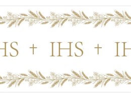 Bieżnik flizelinowy IHS 40x500cm