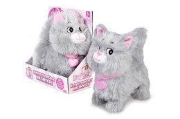 Kotek chodzący Natalia na smyczy szary