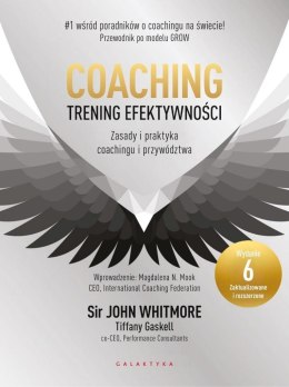 Coaching. Trening efektywności