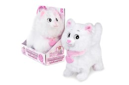 Kotek chodzący Natalia na smyczy biały