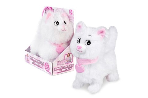 Kotek chodzący Natalia na smyczy biały