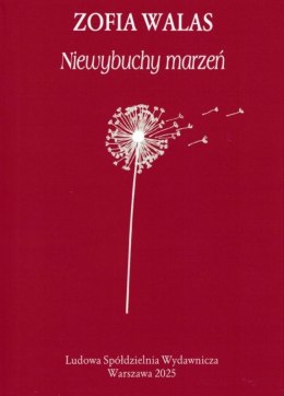 Niewybuchy marzeń