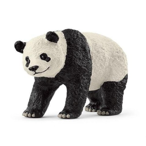 Panda Wielka