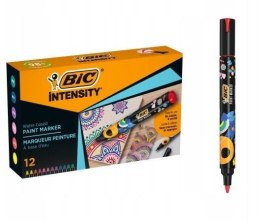 Markery akrylowe Intensity Classic Paint mix 12szt