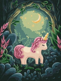 Malowanie po numerach - Dziwny jednorożec 30x40cm