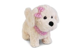 Piesek chodzący na smyczy Natalia