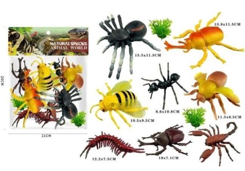 Insekty