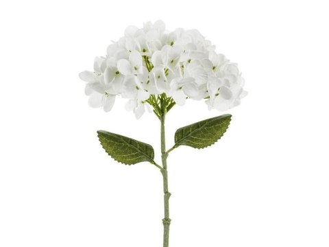 Hortensja biała 35cm