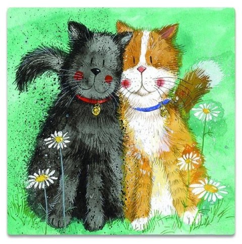 Magnes FM190 Koty Toffee i Treacle