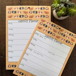 Tygodniowy planer A4/60K Świnki morskie