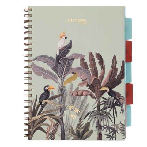 Kołozeszyt Pads A4/100K kratka Afryka pastel ziel