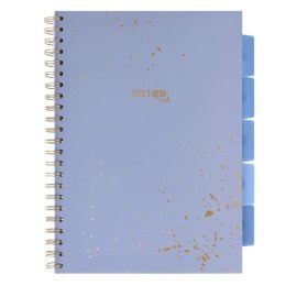 Kołozeszyt Pads A4/100K kratka Marmur niebieski