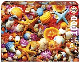 Puzzle 1000 Kolorowe muszelki