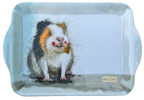 Taca kuchenna mała Świnka morska