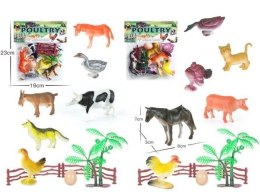 Zwierzeta domowe MIX