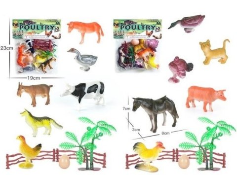 Zwierzeta domowe MIX