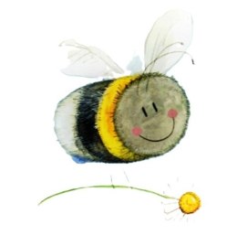 Magnes FM251 Pszczoła i stokrotka