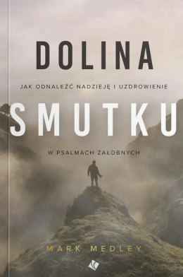 Dolina smutku