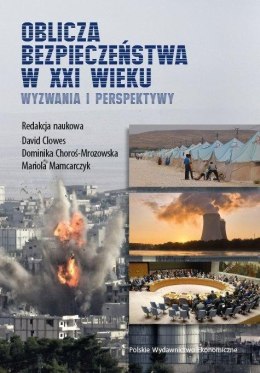 Oblicza bezpieczeństwa w XXI wieku