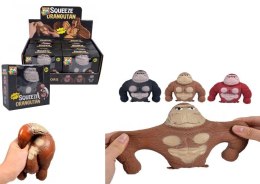 Goryl rozciągliwy gniot mix