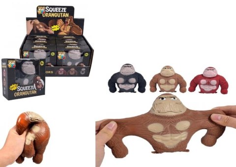 Goryl rozciągliwy gniot mix