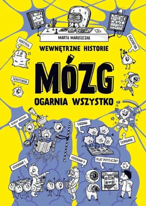 Wewnętrzne historie. Mózg ogarnia wszystko