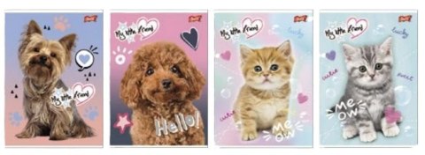 Zeszyt A5/16K kratka My little friend (15szt)