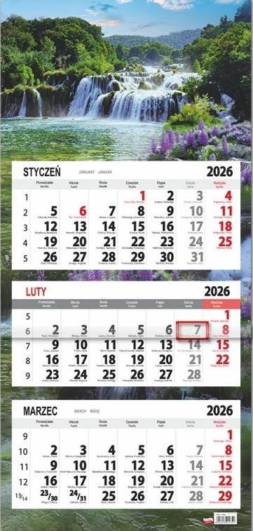 Kalendarz 2026 trójdzielny płaska główka Łubin