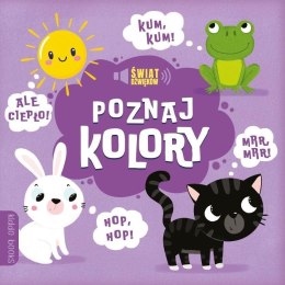 Książeczka kartonowa poznaj kolory