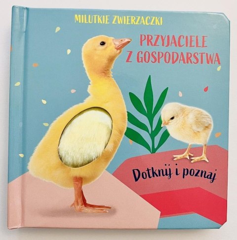 Milutkie zwierzaczki. Dotknij i poznaj. Przyjaciel