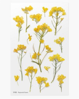 Naklejki ozdobne kwiaty - Rzepak