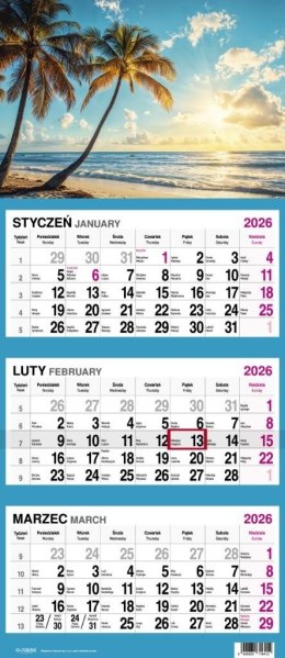Kalendarz 2026 Trójdzielny Palmy