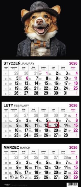 Kalendarz 2026 Trójdzielny Pies