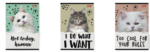 Zeszyt A5/32K linia podw. 2 kolor Caturday(15szt)