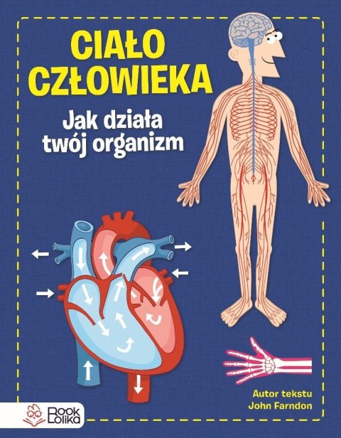 Ciało człowieka. Jak działa Twój organizm